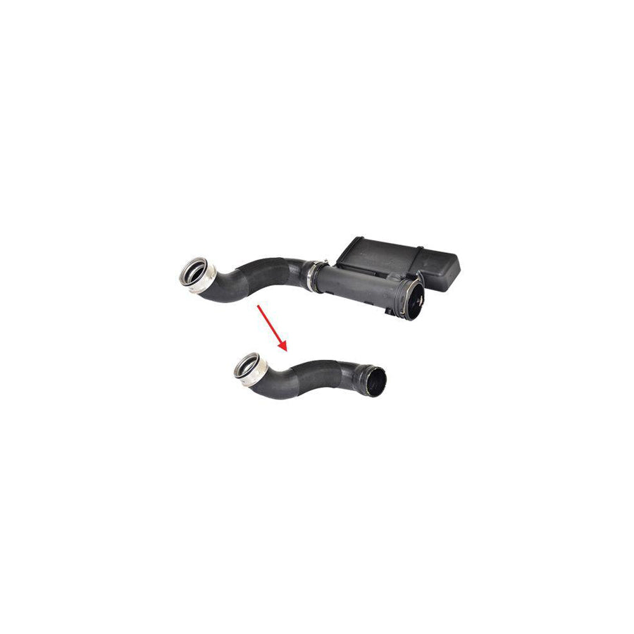 BUGIAD 88594 Charger Intake Hose Suitable for Mercedes-Benz E-Class