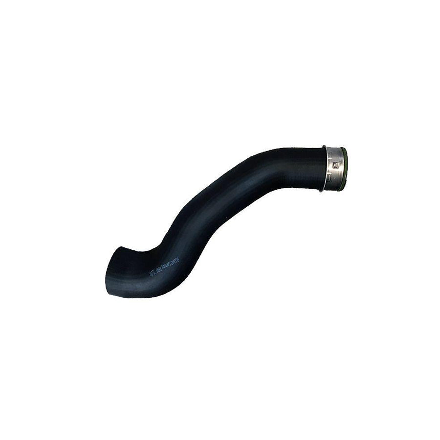 BUGIAD 88598 Charger Intake Hose Suitable for Mercedes-Benz C-Class