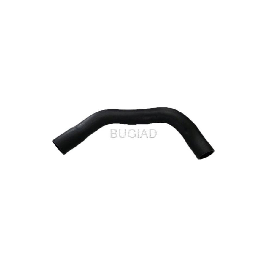 BUGIAD 88624 Charger Intake Hose for Ford Transit