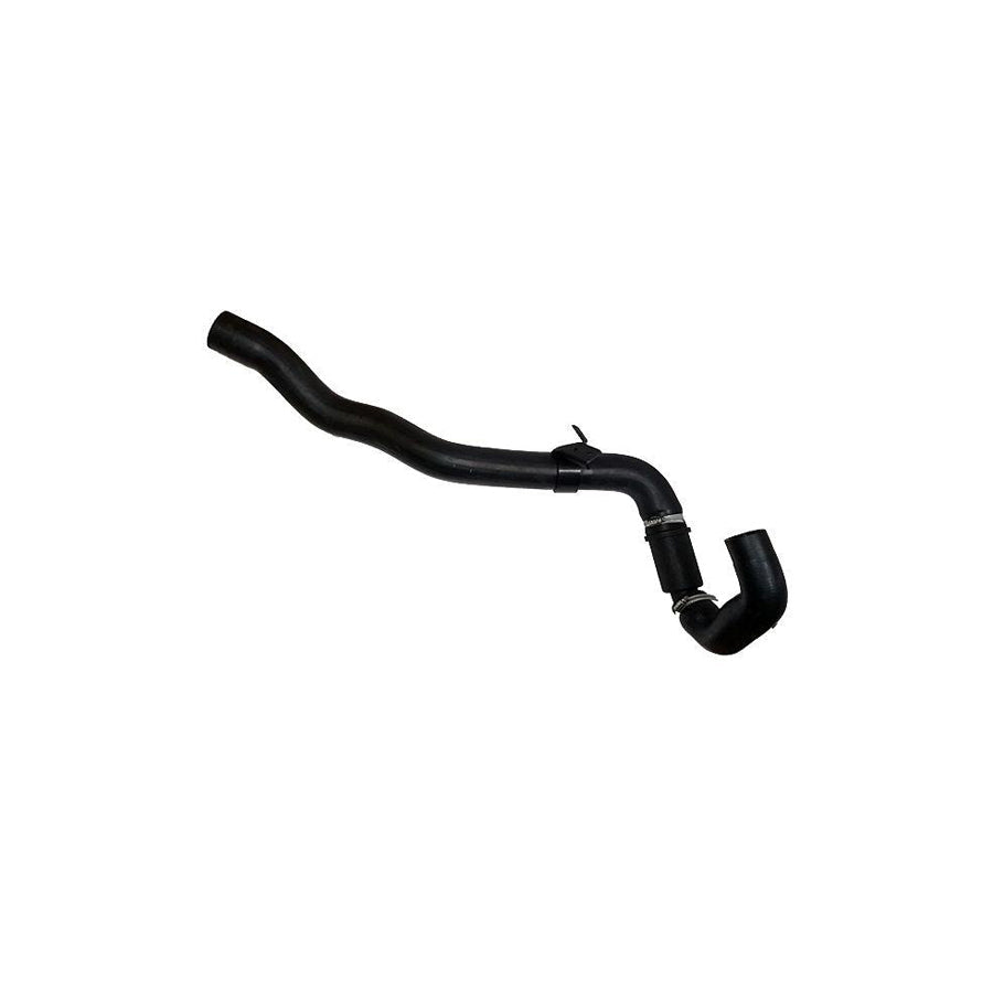 BUGIAD 88777 Charger Intake Hose