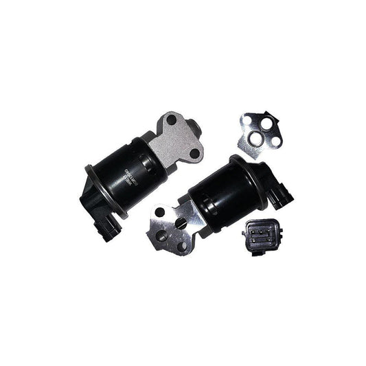 BUGIAD Bgr13040 Egr Valve