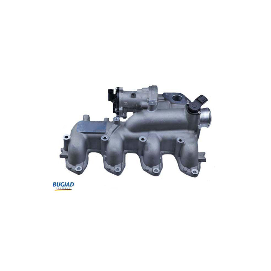BUGIAD Bgr13095 Egr Valve