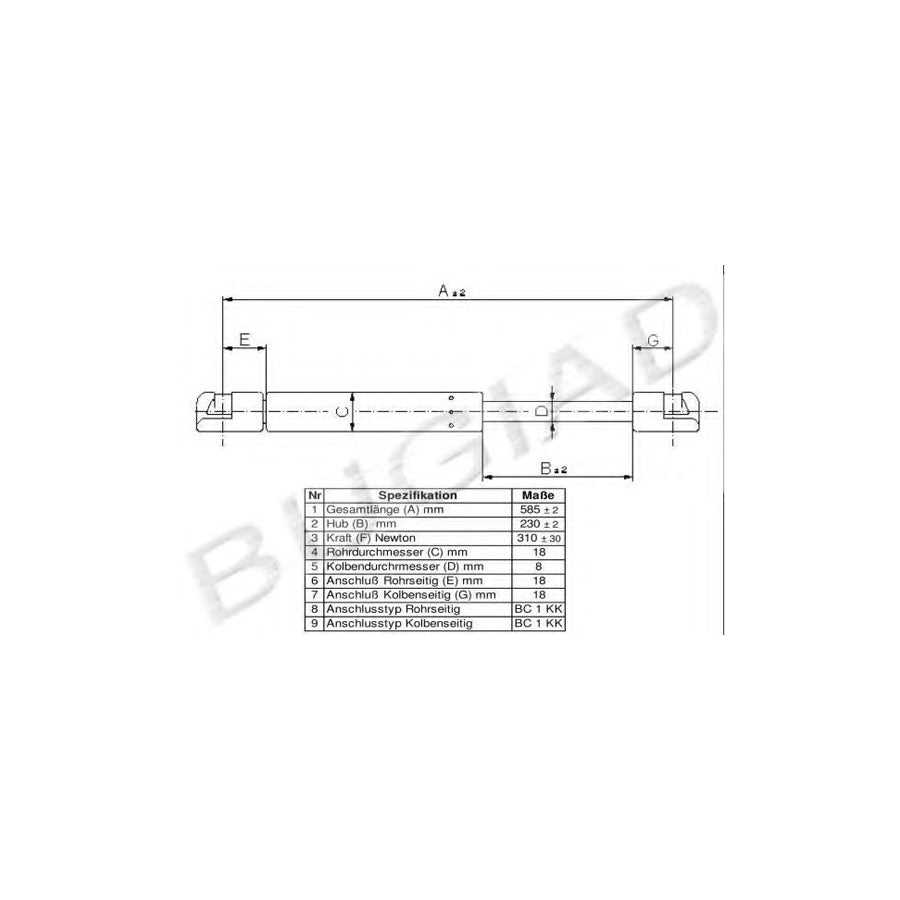 BUGIAD Bgs10296 Tailgate Strut for Peugeot 106 II Hatchback (1A, 1C)