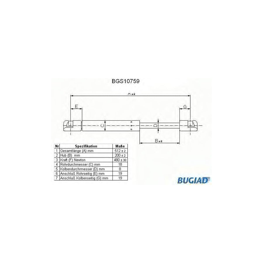 BUGIAD Bgs10759 Tailgate Strut for Citroen C5 I Hatchback