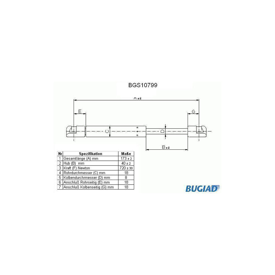 BUGIAD Bgs10799 Tailgate Strut for VW Golf
