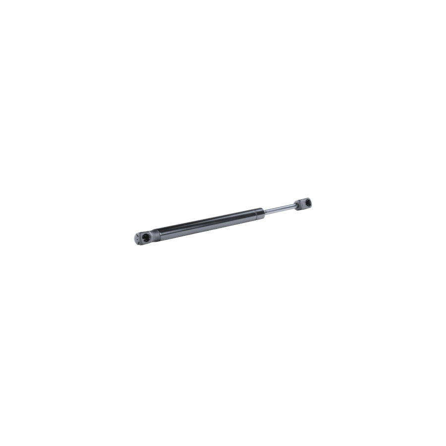 BUGIAD Bgs10802 Tailgate Strut
