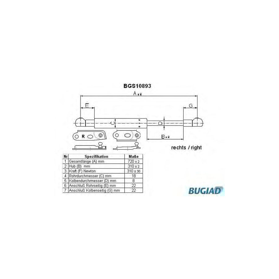 BUGIAD Bgs10893 Tailgate Strut for Toyota Corolla VIII Estate (E110)