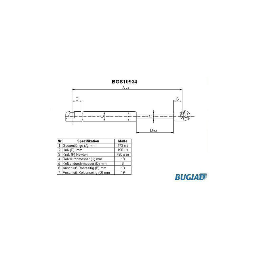 BUGIAD Bgs10934 Tailgate Strut