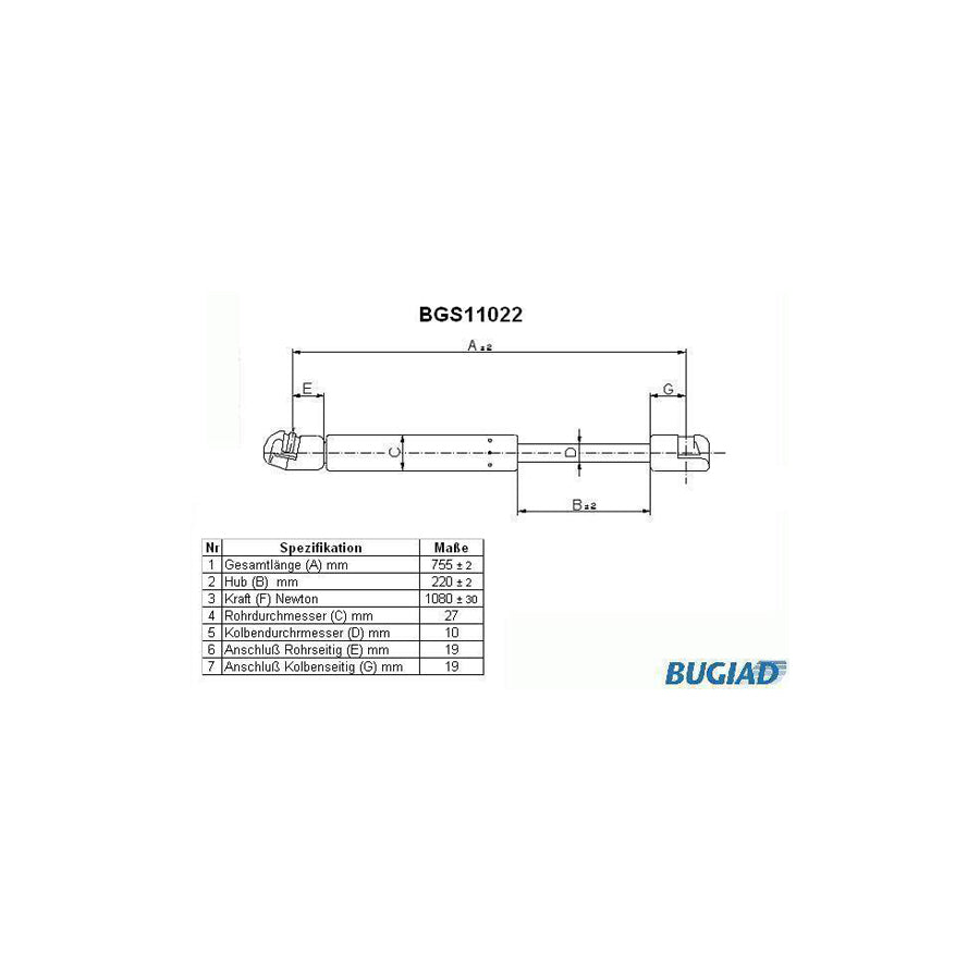 BUGIAD Bgs11022 Tailgate Strut for VW Multivan T5 (7Hm, 7Hn, 7Hf, 7Ef, 7Em, 7En)