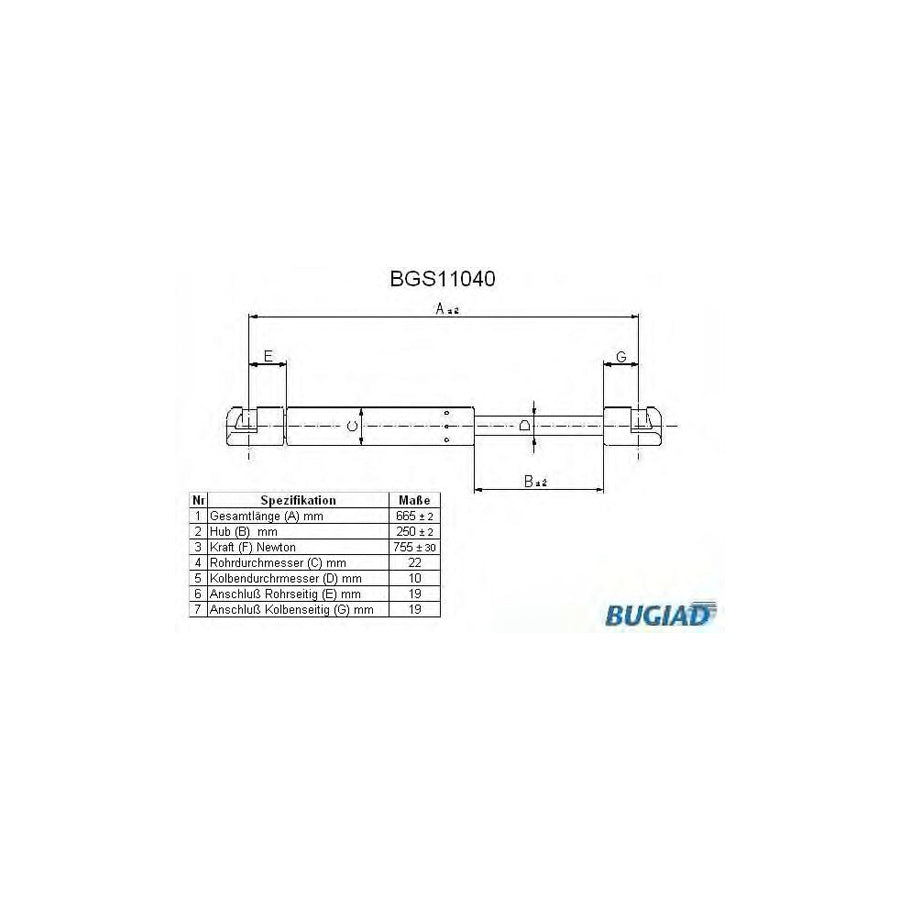 BUGIAD Bgs11040 Tailgate Strut