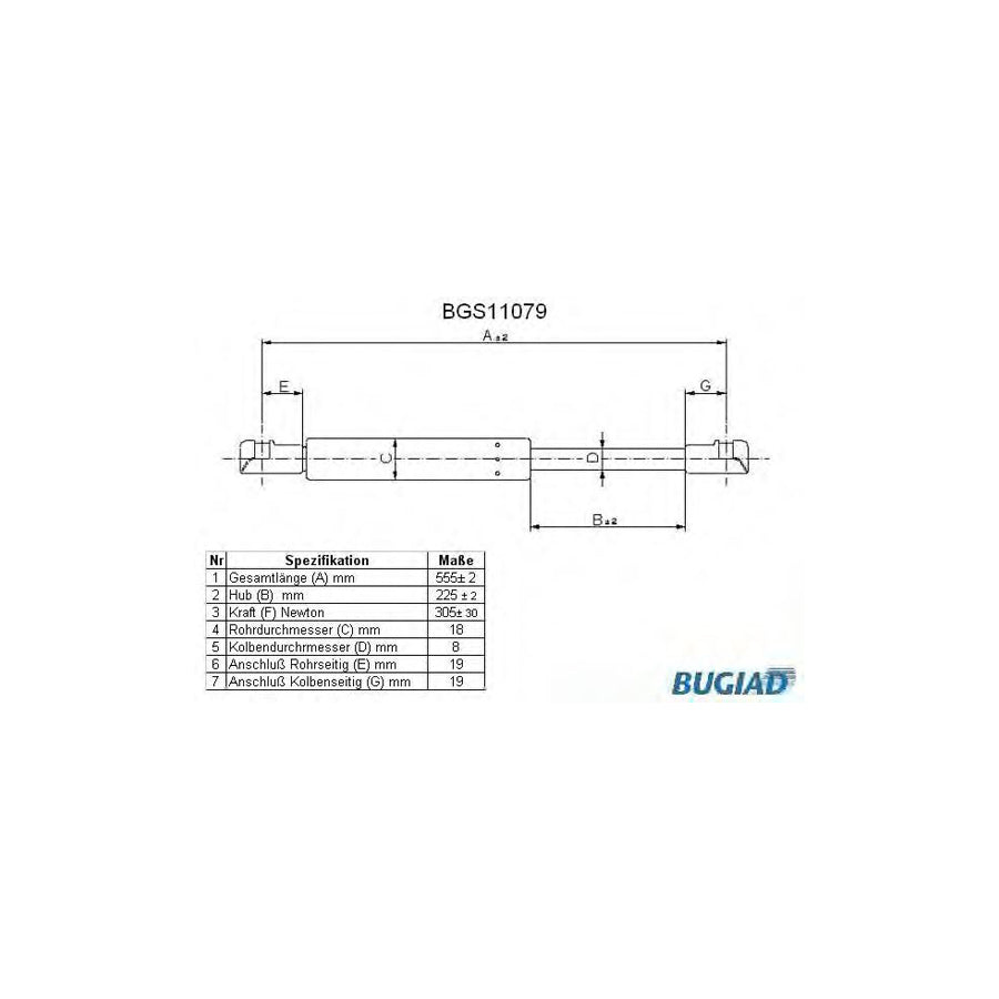 BUGIAD Bgs11079 Tailgate Strut
