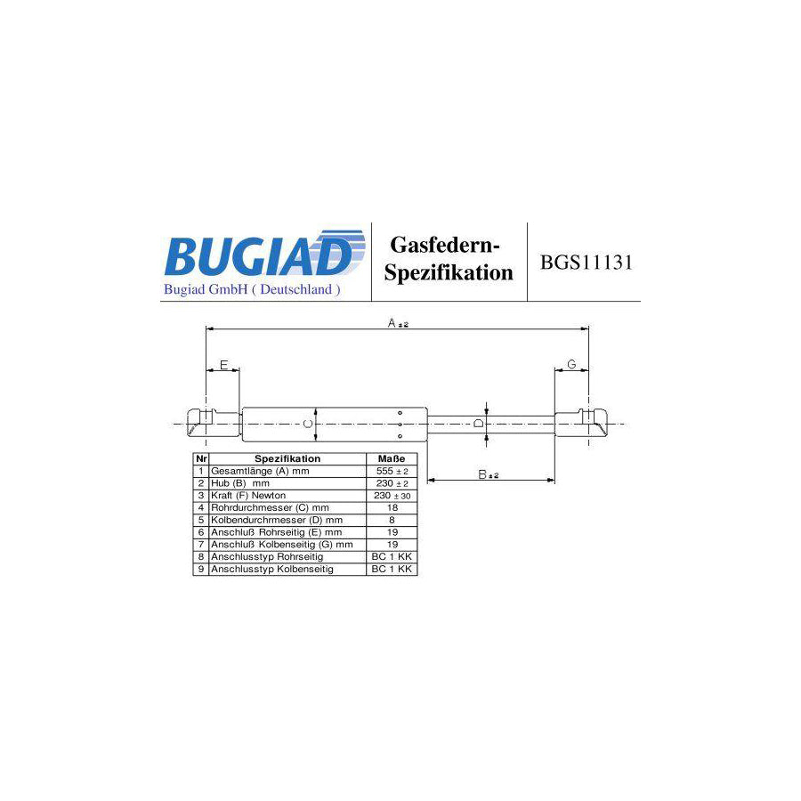 BUGIAD Bgs11131 Tailgate Strut for BMW 3 Convertible (E93)