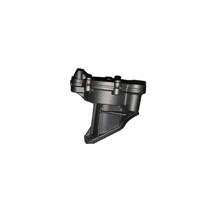BUGIAD Bgt00009 Brake Vacuum Pump