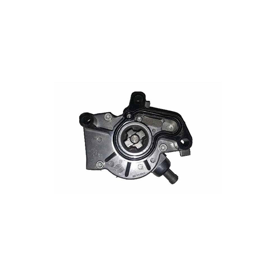 BUGIAD Bgt00010 Brake Vacuum Pump