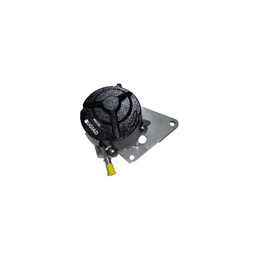 BUGIAD Bgt00017 Brake Vacuum Pump