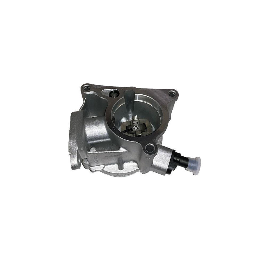 BUGIAD Bgt00018 Brake Vacuum Pump