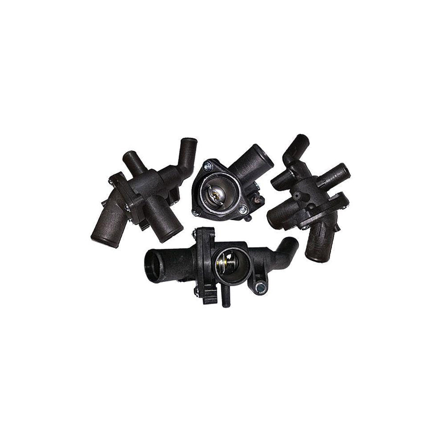 BUGIAD Bmc19210 Thermostat Housing for Ford Transit