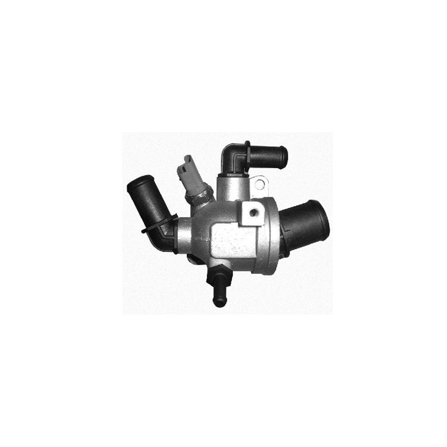 BUGIAD Bmc19217 Thermostat Housing