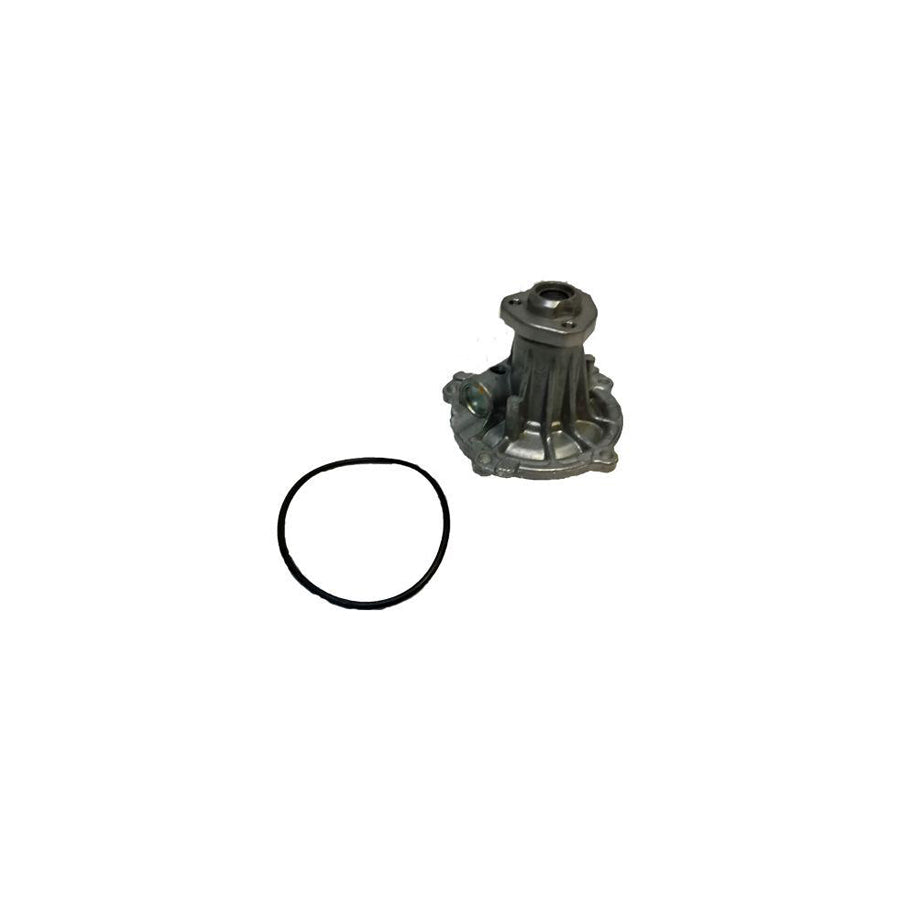 BUGIAD Bsp20033 Water Pump