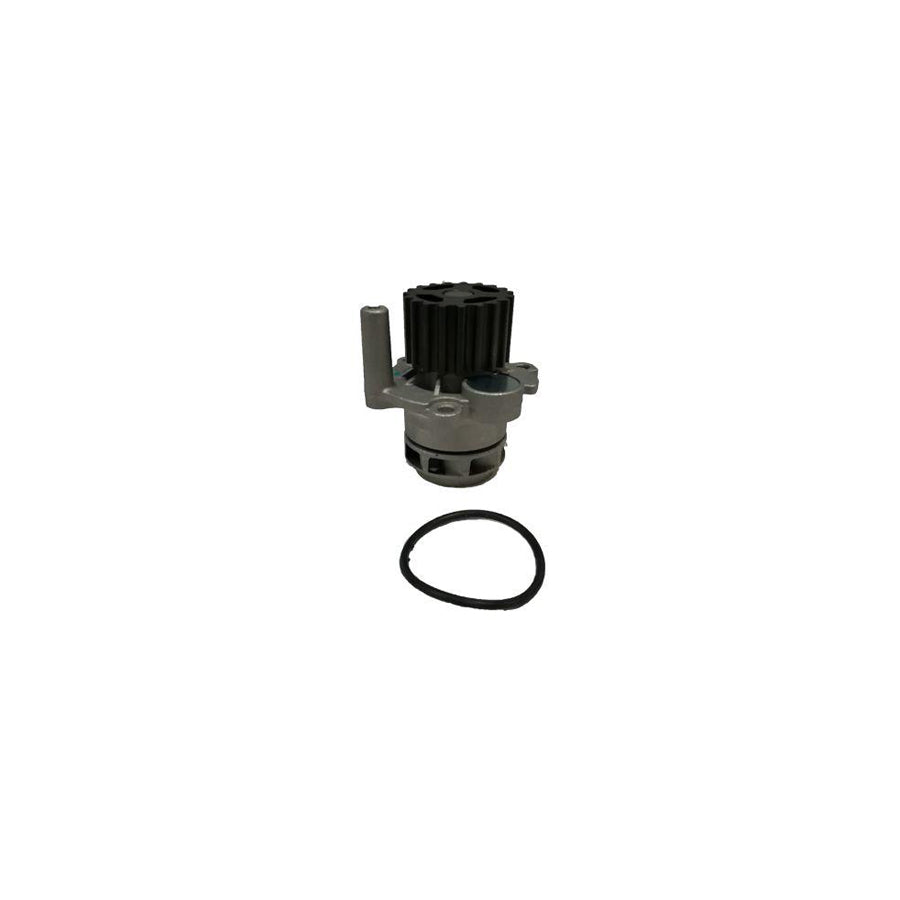 BUGIAD Bsp20038 Water Pump