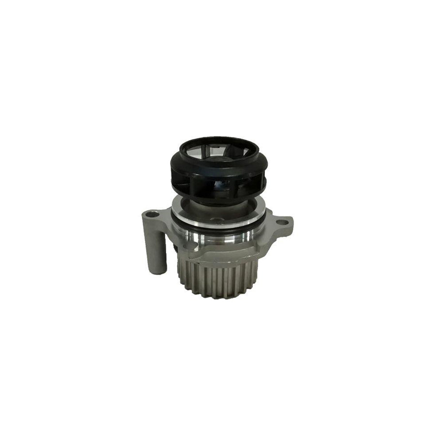 BUGIAD Bsp20040 Water Pump