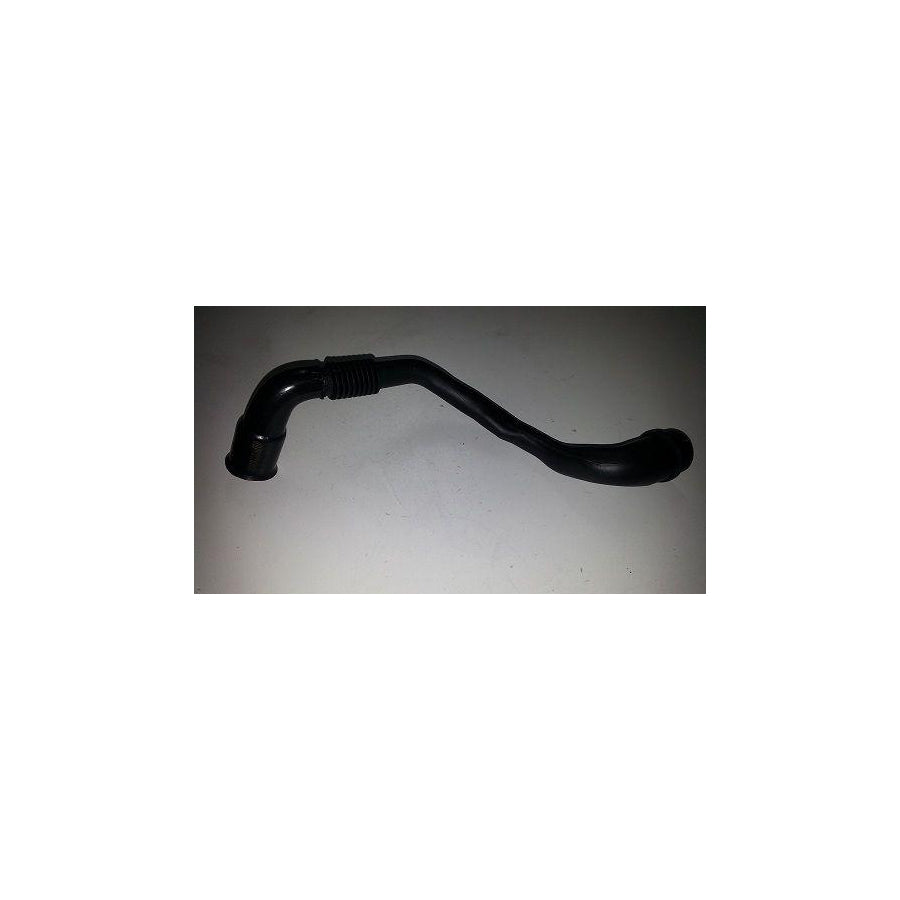 BUGIAD Bsp20086 Hose, Cylinder Head Cover Breather