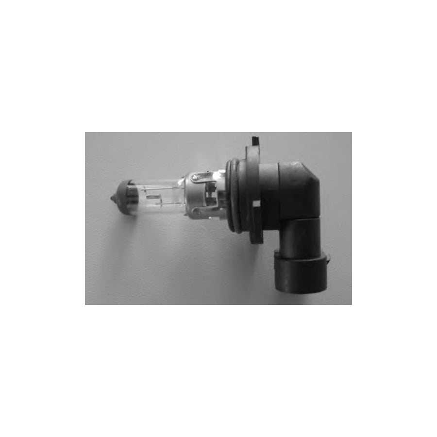 BUGIAD Bsp20131 Fog Light Bulb