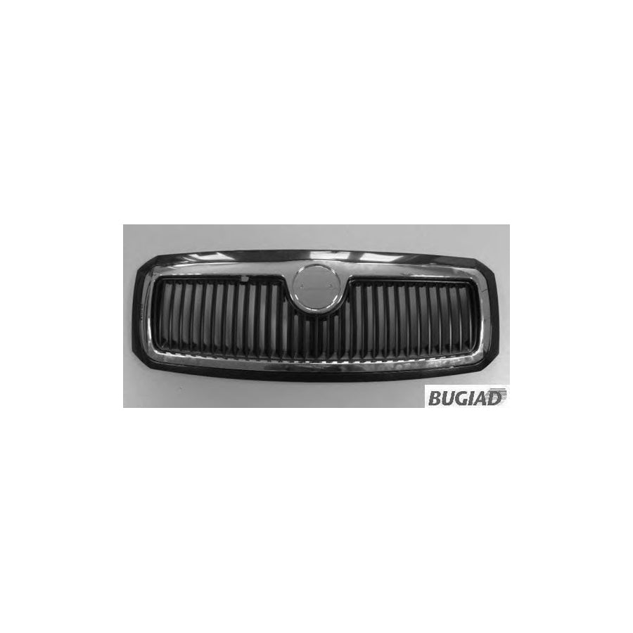 BUGIAD Bsp20172 Radiator Grille for Skoda Fabia