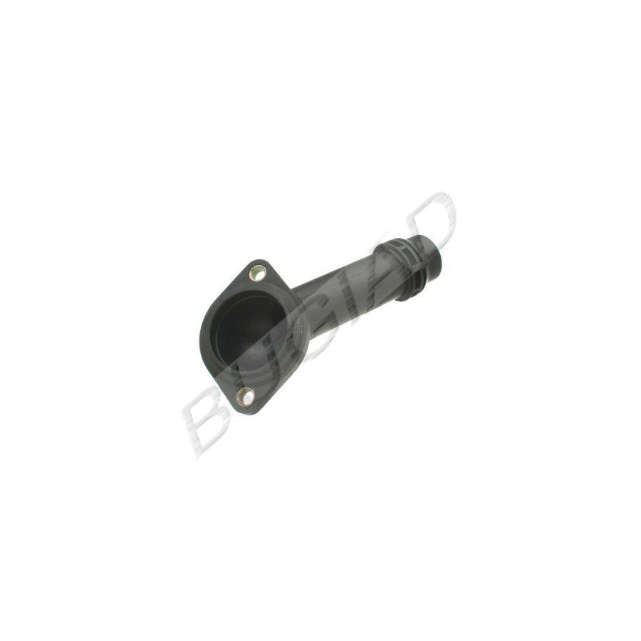BUGIAD Bsp20220 Coolant Flange