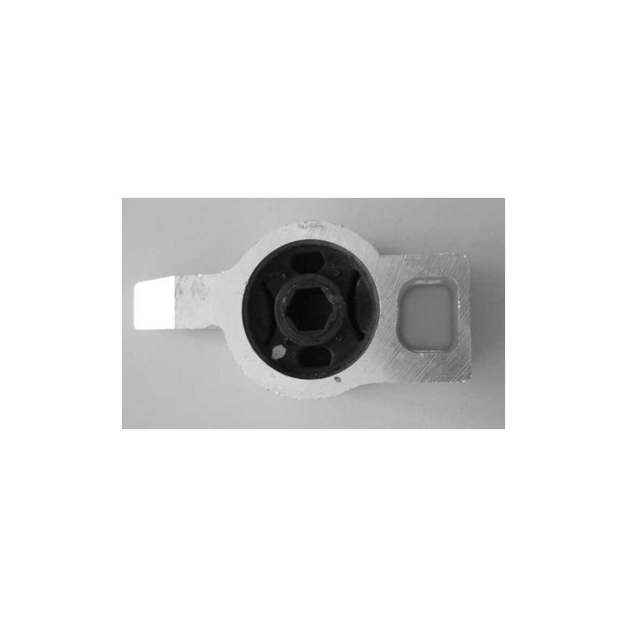 BUGIAD Bsp20237 Control Arm- / Trailing Arm Bush