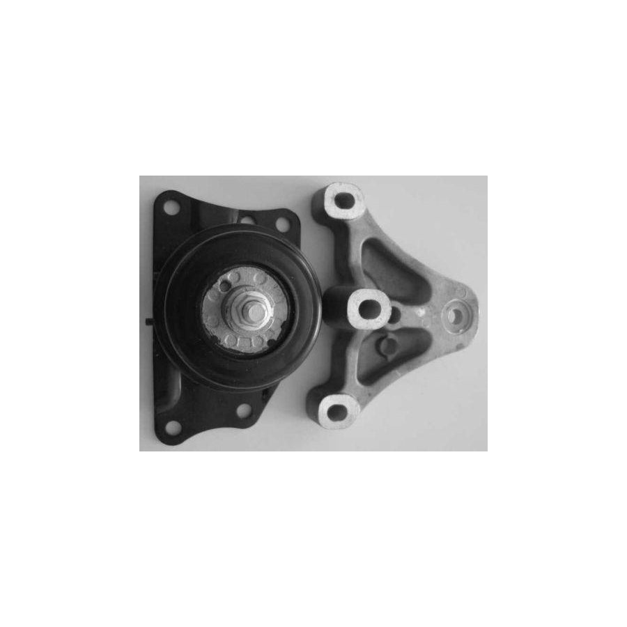 BUGIAD Bsp20239 Engine Mounting