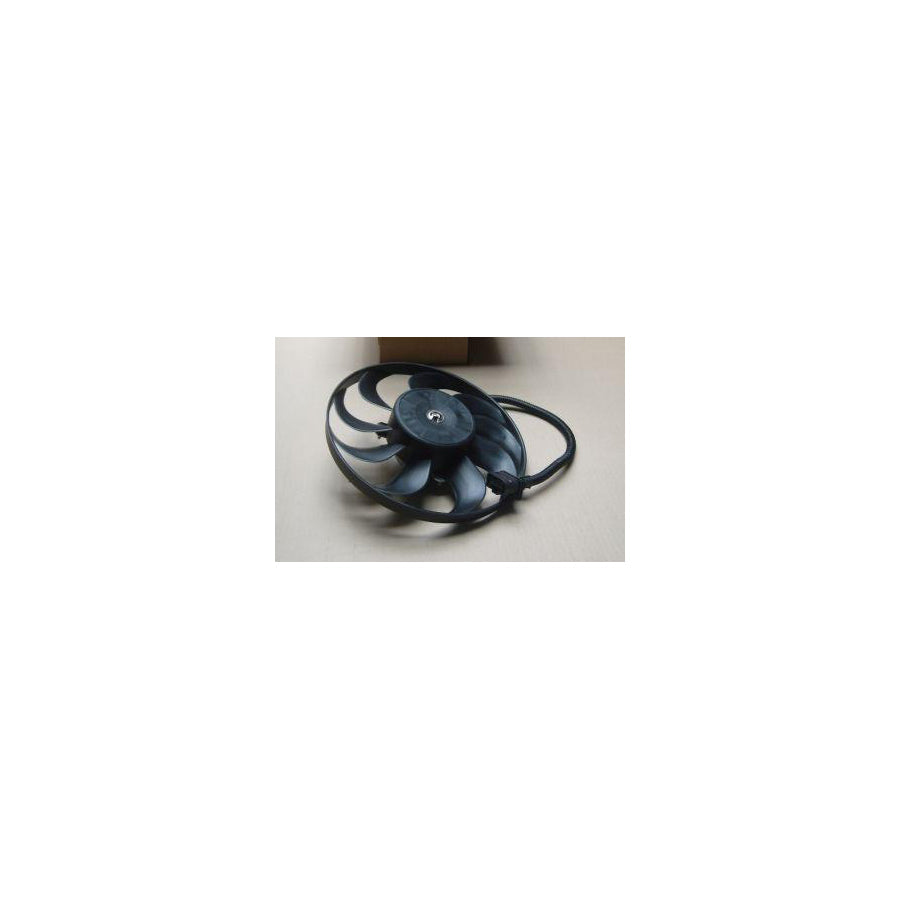 BUGIAD Bsp20270 Electric Motor, Radiator Fan