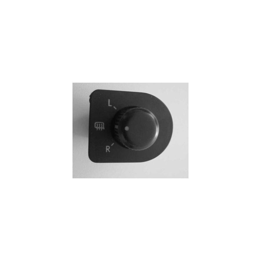 BUGIAD Bsp20282 Switch, Mirror Adjustment