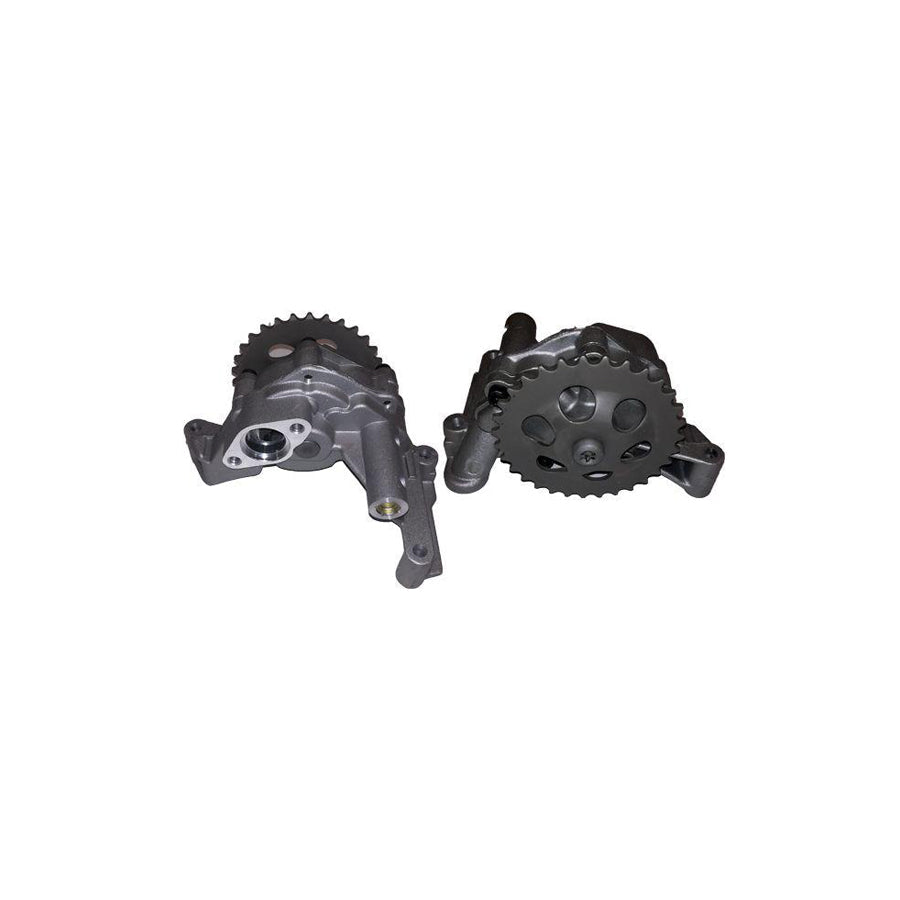 BUGIAD Bsp20297 Oil Pump