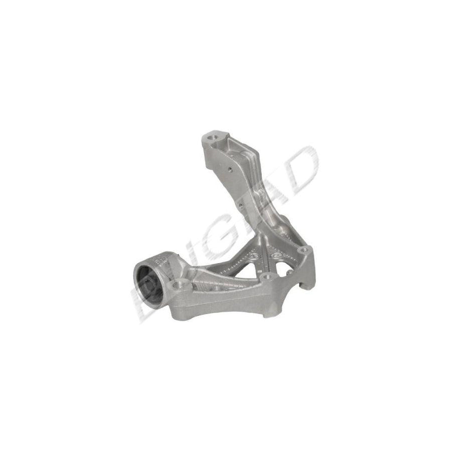 BUGIAD Bsp20325 Holder, Control Arm Mounting