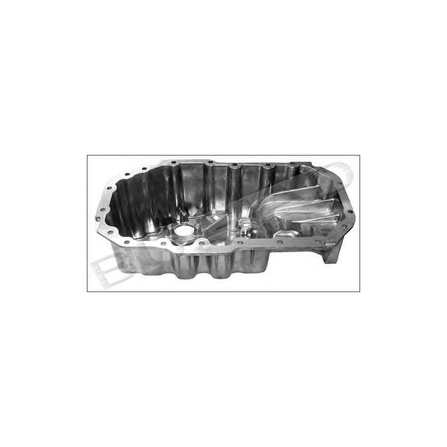 BUGIAD Bsp20434 Oil Sump