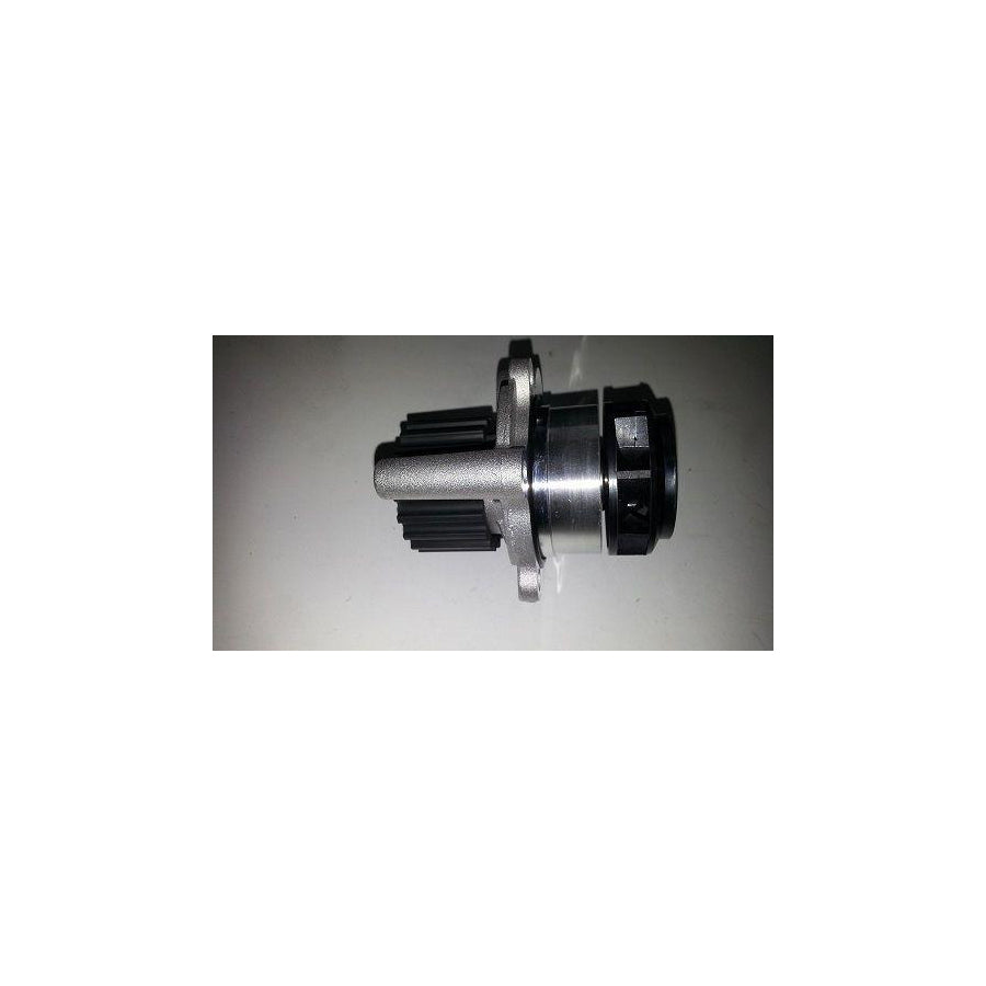 BUGIAD Bsp20438 Water Pump