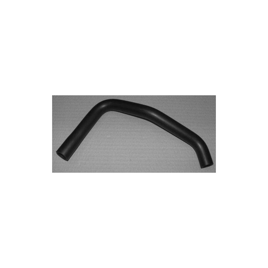 BUGIAD Bsp20439 Hose, Cylinder Head Cover Breather