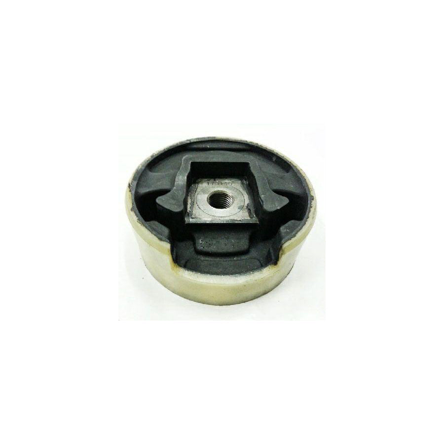 BUGIAD Bsp20479 Engine Mounting