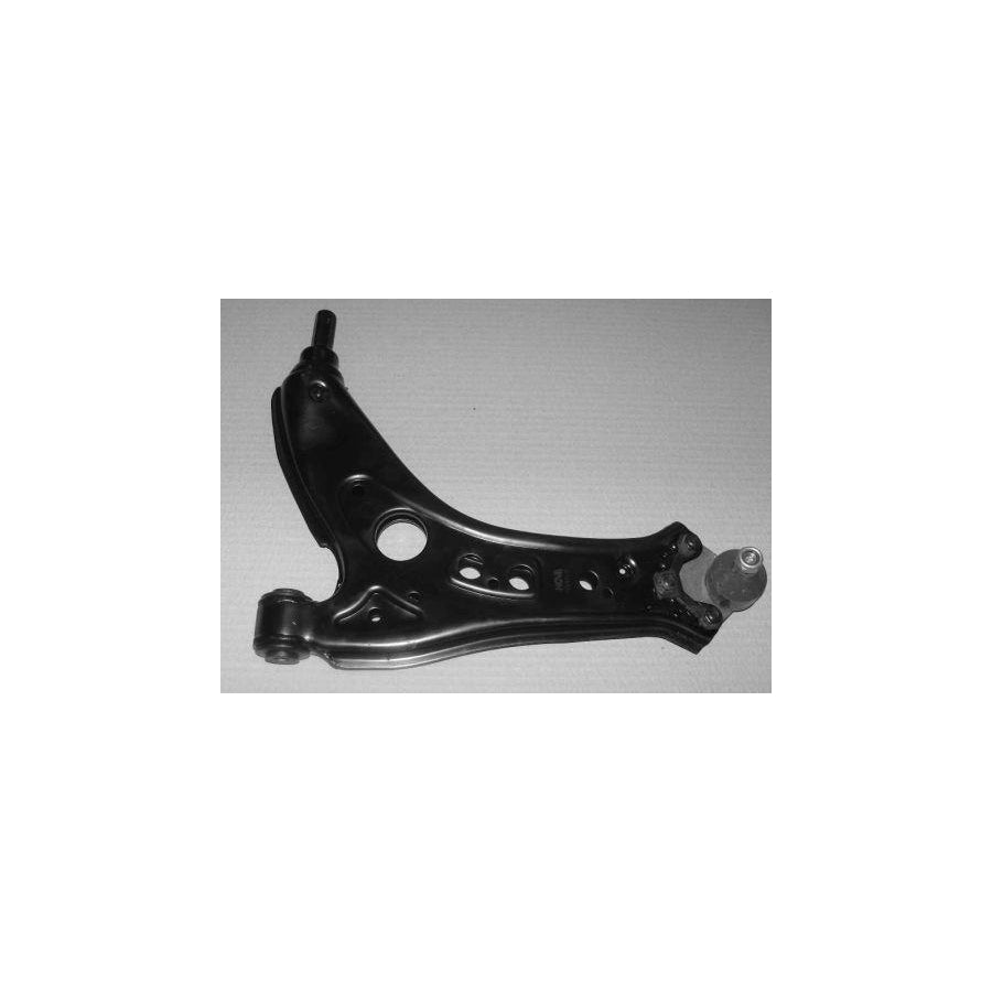BUGIAD Bsp20503 Suspension Arm