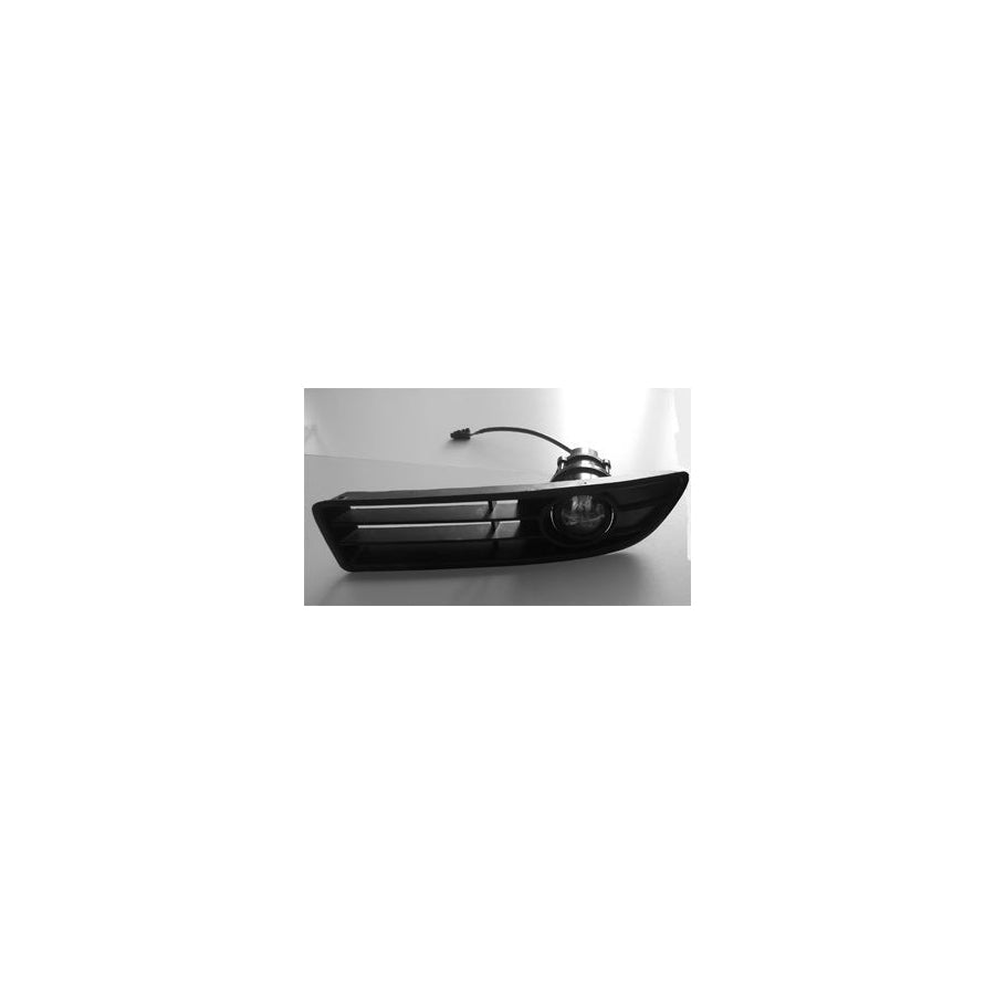 BUGIAD Bsp20520 Fog Light for VW Bora