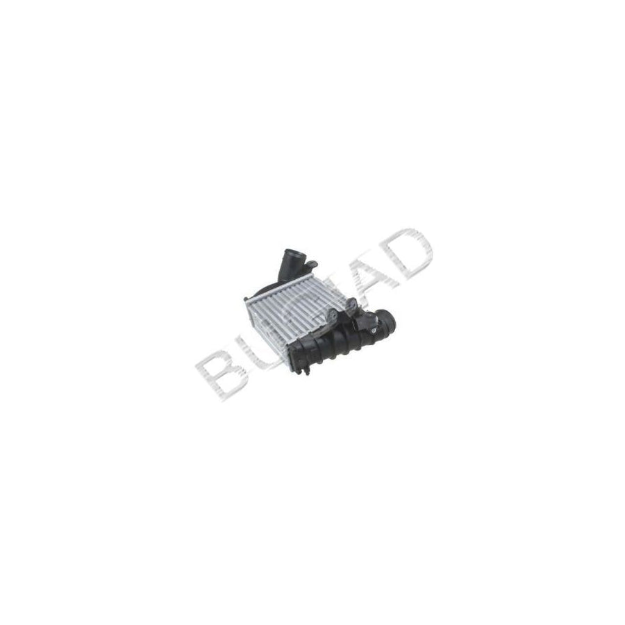 BUGIAD Bsp20538 Intercooler