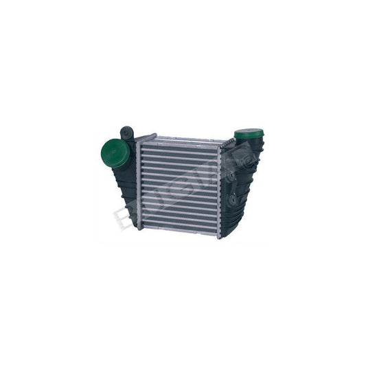 BUGIAD Bsp20539 Intercooler