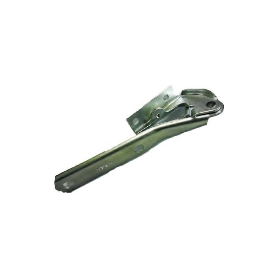 BUGIAD Bsp20596 Hinge, Bonnet