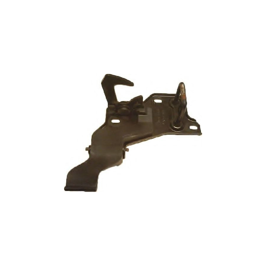 BUGIAD Bsp20605 Bonnet Lock