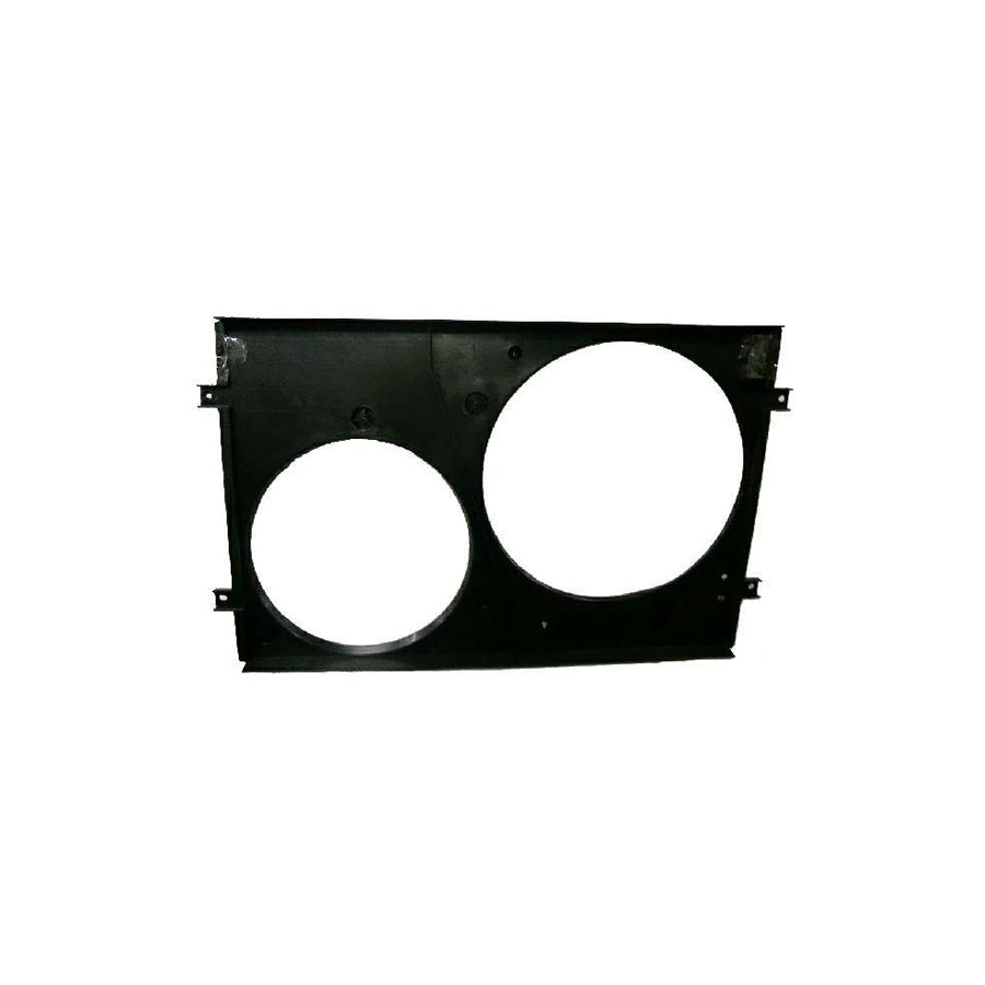 BUGIAD Bsp20606 Fan, Radiator