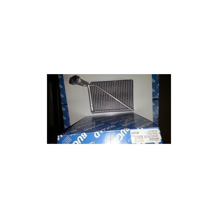 BUGIAD Bsp20645 Air Conditioning Evaporator