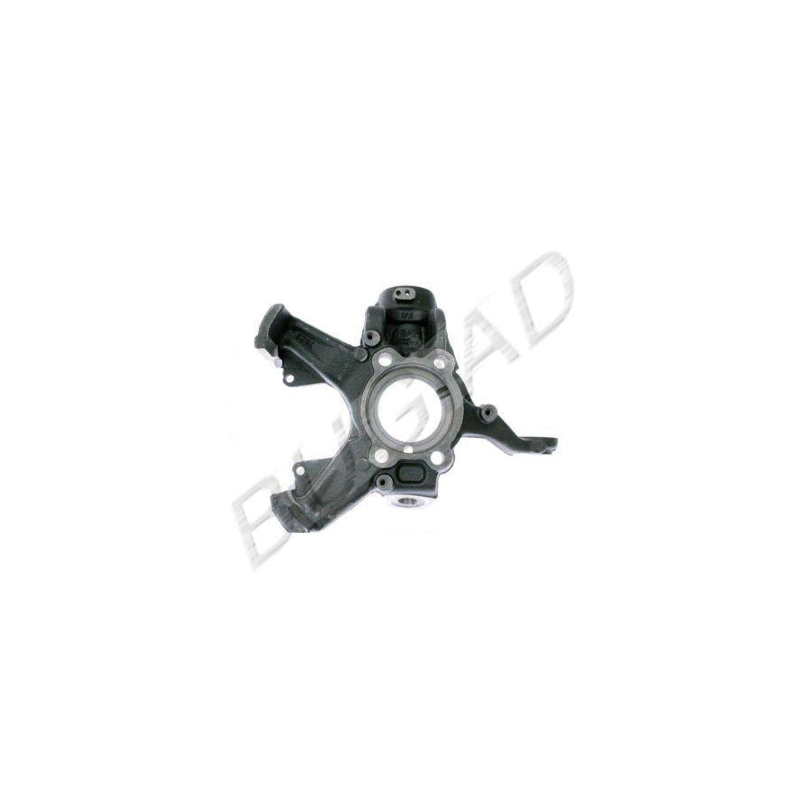 BUGIAD Bsp20671 Steering Knuckle