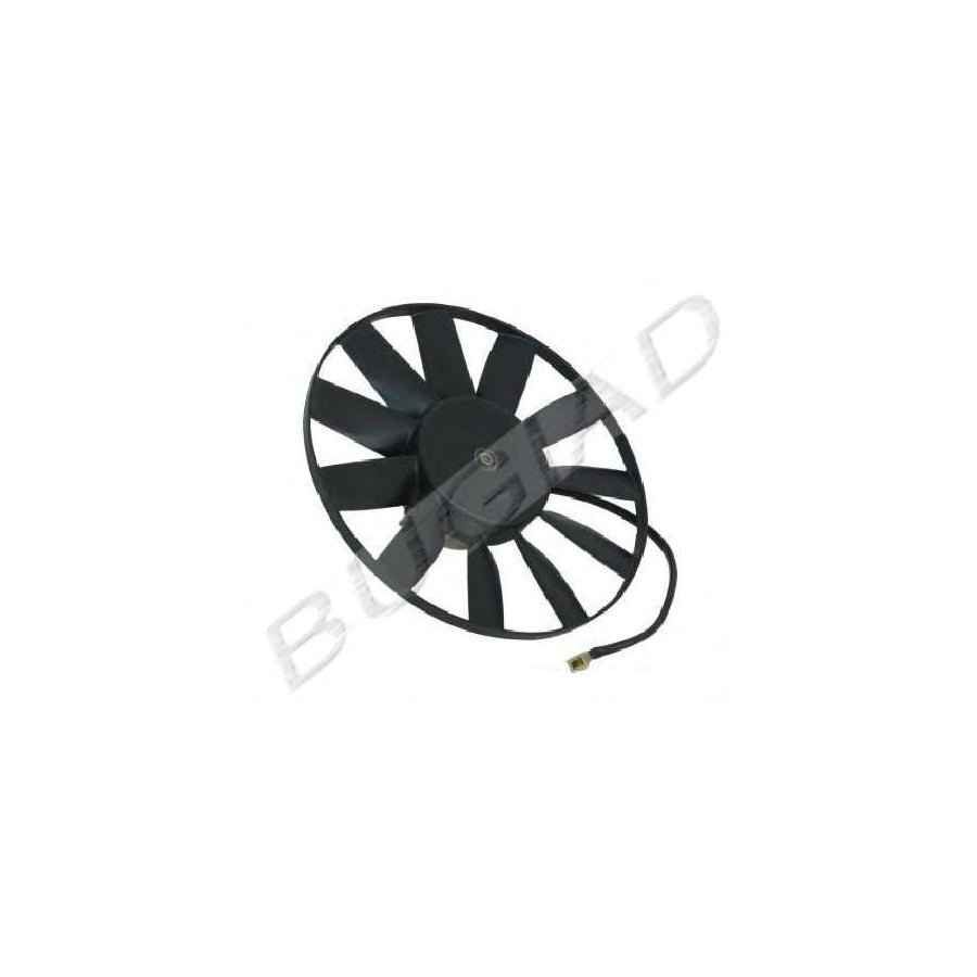 BUGIAD Bsp20811 Fan, Radiator
