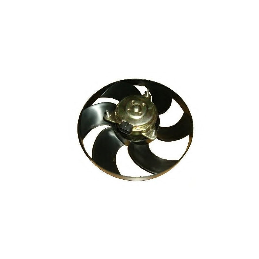 BUGIAD Bsp20816 Fan, Radiator for Skoda Felicia